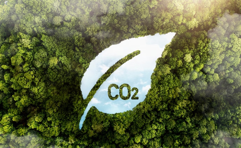 Blatt mit CO2-Logo im Wald
